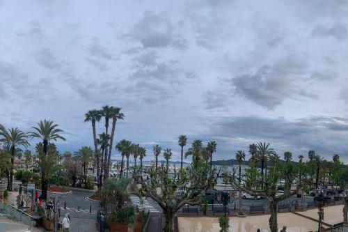 a park with palm trees and a cloudy sky at T3 vue mer in Le Lavandou