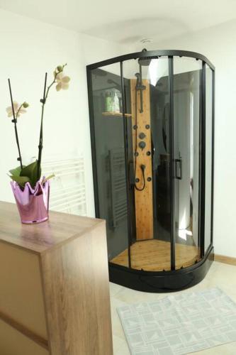 - une douche dans une chambre dotée d'un vase avec des fleurs dans l'établissement La villa Mama 65 m2, avec piscine partagée de Juin à Septembre, à Erquy