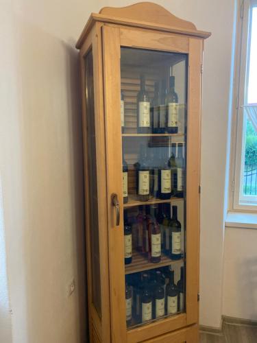 a cabinet filled with lots of bottles of medicine at Vila 1921 in Jevišovice