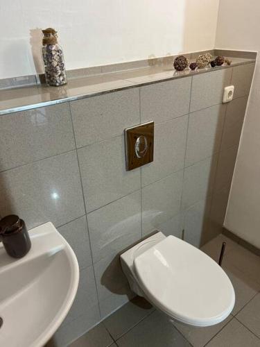 a bathroom with a white toilet and a sink at Ferienwohnung im Heuboden in Züsch