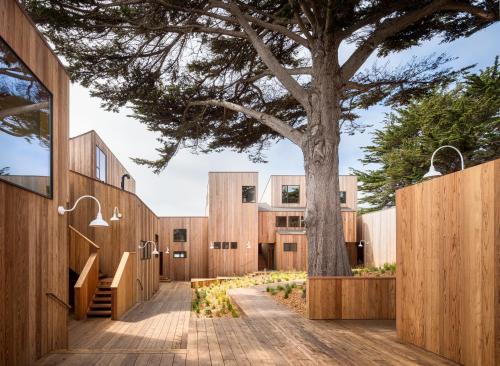 a tree in front of a building with wooden fences at The Sea Ranch Lodge in Sea Ranch