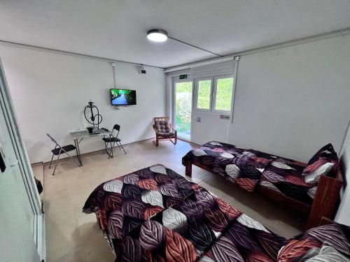 a living room with a bed and a table at Apartments / Studio Matka in Matka