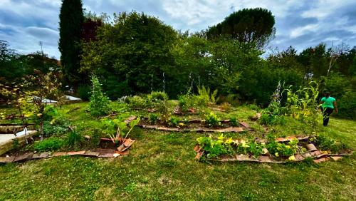 a garden with a bunch of plants in the grass at la maison d'hôtes des Charentes in Les Touches-de-Périgny