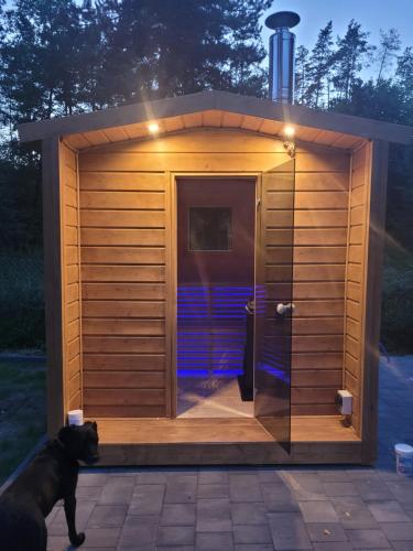 a dog standing in front of a wooden outhouse at Leśny Dworek Podjazy in Podjazy