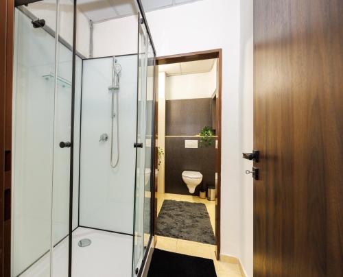 SPAYA JACUZZI centrum apartment - with home cinema & private parking في كوشيتسه: حمام مع دش زجاجي ومرحاض