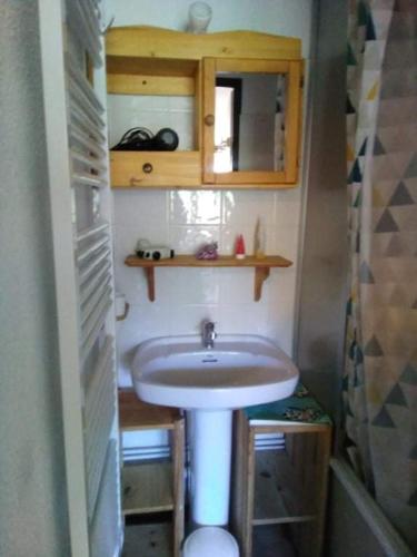 une petite salle de bain avec un lavabo et une douche dans l'établissement Appartement au cœur des Aravis, à Manigod