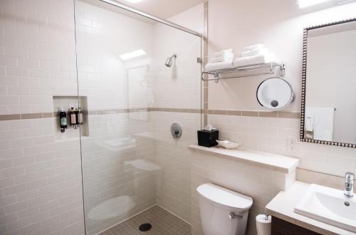 a bathroom with a shower and a toilet and a sink at Historic Hotel Arvon in Great Falls