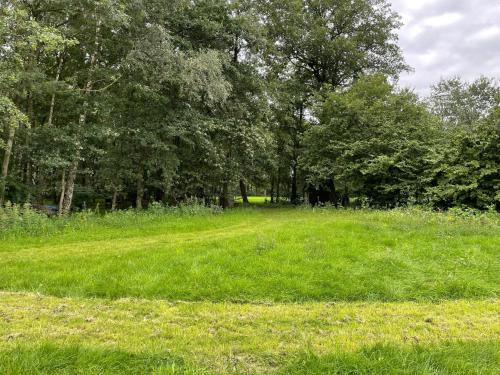 a field of green grass with trees in the background at Boerderij appartement De Casterie in Bornerbroek