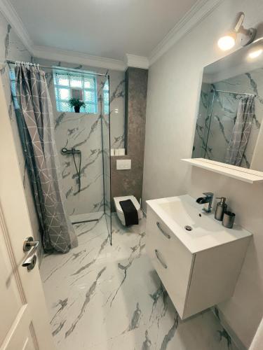 La salle de bains blanche est pourvue d'une douche et d'un lavabo. dans l'établissement Studio Glen, à Târgu-Mureş