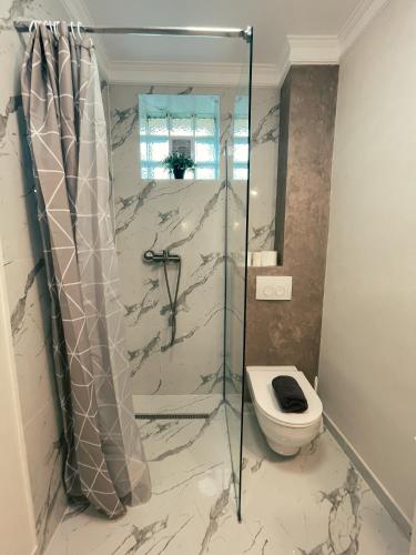 a bathroom with a shower and a toilet at Studio Glen in Târgu-Mureş