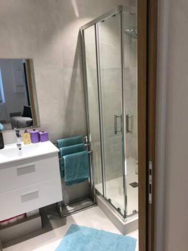 La salle de bains est pourvue d'une douche, d'un lavabo et de toilettes. dans l'établissement Studio à 100m du Palais des Festivals / Plages et Commerces, à Cannes