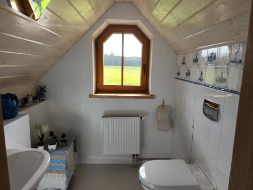 Stadelnieki في Stadelnieki: حمام مع مرحاض ومغسلة ونافذة