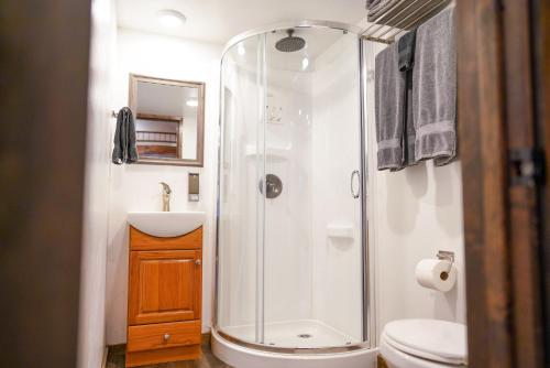 a bathroom with a shower and a toilet and a sink at Teton Tiny Home in Victor