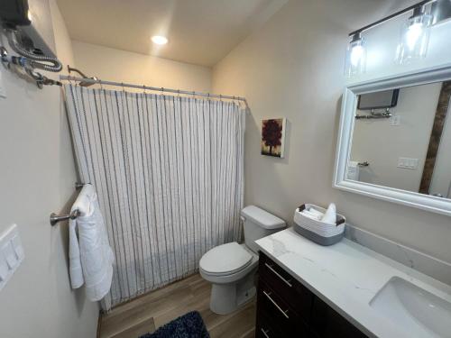 La salle de bains est pourvue de toilettes, d'un lavabo et d'une douche. dans l'établissement Teton View Studio - Hidden Gem near Yellowstone, à Tetonia