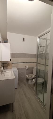 La salle de bains est pourvue de 2 toilettes, d'un lavabo et d'une douche. dans l'établissement Casa Bella Vita, à Menton