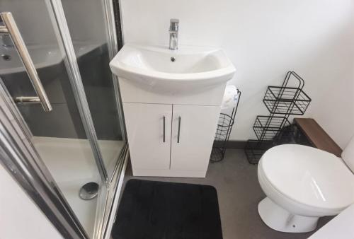 ein Bad mit einem Waschbecken, einem WC und einer Dusche in der Unterkunft The Snug in Letterkenny