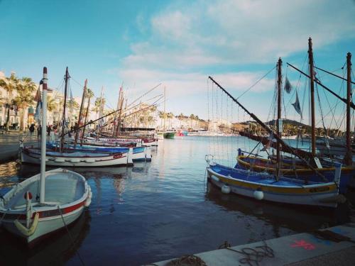 un groupe de bateaux est amarré dans un port dans l'établissement T 2 à 5 mn à pied de la mer, à Sanary-sur-Mer