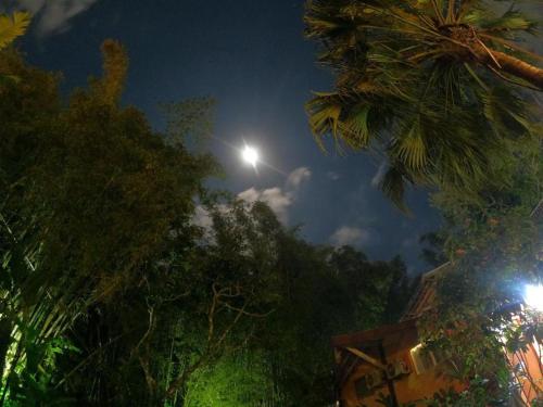 a street light with palm trees at night at Portal do Sabiá Maresias in Maresias