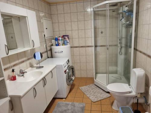 W łazience znajduje się toaleta z umywalką i prysznic. w obiekcie bjørnemyra 29h, leilighet w Alcie