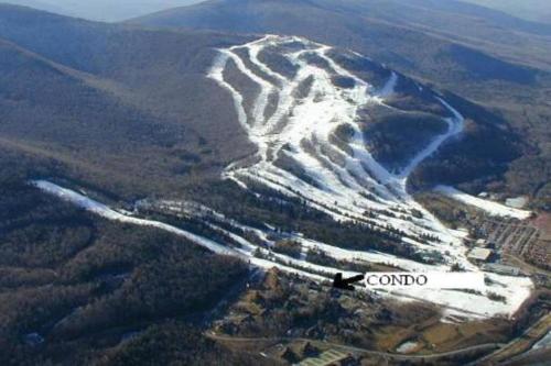 亨特Massive LUX 3BR Ski ON/OFF Condo on MTN.Sleeps 12!的相册照片