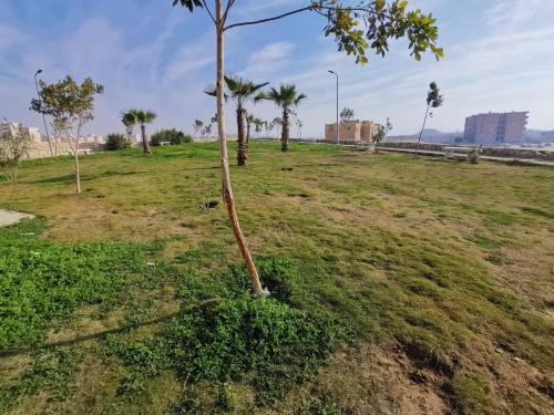 Fotografie z fotogalerie ubytování Lux apartment in Cairo new city v Káhiře