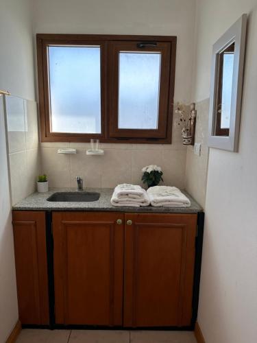 baño con lavabo y 2 ventanas en Los Alerces Patagonia Apart en Esquel