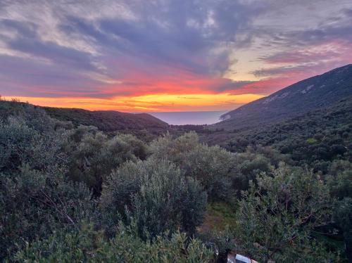 a sunset over a valley with trees and mountains at Villa Tramonto D'Oro in Ulcinj