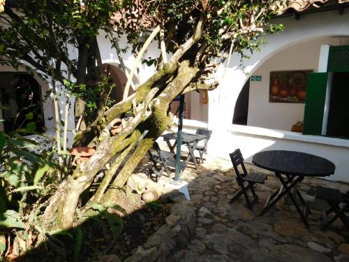 un árbol en un patio con mesa y sillas en Casa Hotel Paraíso Bella Villa en Villa de Leyva