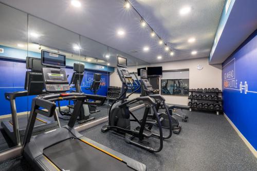 a gym with several exercise equipment in a room at Holiday Inn Express Rochester South - Mayo Area by IHG in Rochester