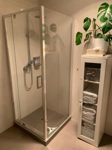 prysznic ze szklaną obudową w łazience w obiekcie Koombana Escape w mieście Perth