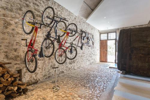 Montar en bicicleta en La Loggia Sul Nera o alrededores