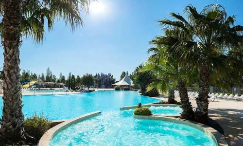 une grande piscine avec des palmiers dans un complexe hôtelier dans l'établissement Bungalow charmant près de Vias avec piscine partagée, à Vias