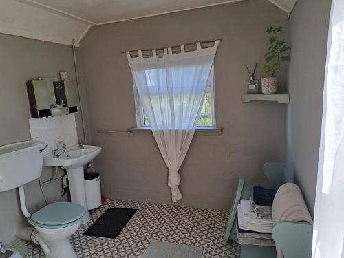 a bathroom with a sink and a toilet and a window at Lehane's Cottage in Macroom