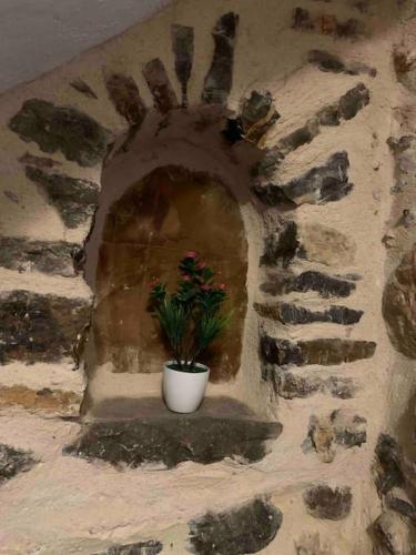a plant in a pot on a stone wall at Medieval House in Mesta