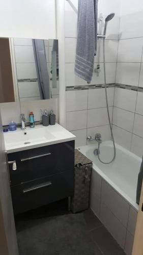 ein Bad mit einem Waschbecken und einer Dusche mit einem Spiegel in der Unterkunft Spacieux T2 / verdure à Paris en 15min in Rueil-Malmaison