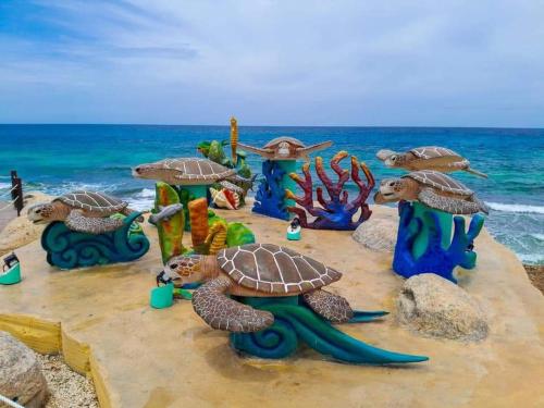 a group of fake turtles on the beach at Isla Mujeres departamento, hasta para 6 personas. in Isla Mujeres
