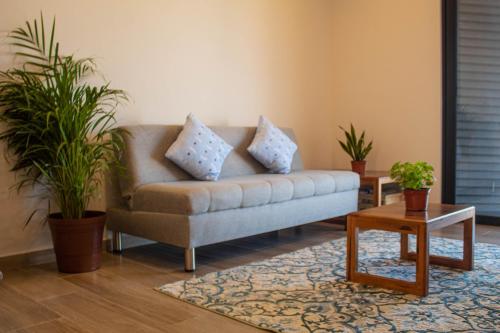 a living room with a couch and two potted plants at NEW Terra Condo w/ Infinity Pool in Cabo San Lucas