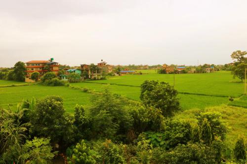 a lush green field with houses in the background at Hotel National Park Sauraha- Homely Stay and Peaceful Location with Jungle Safari arrangements in Sauraha