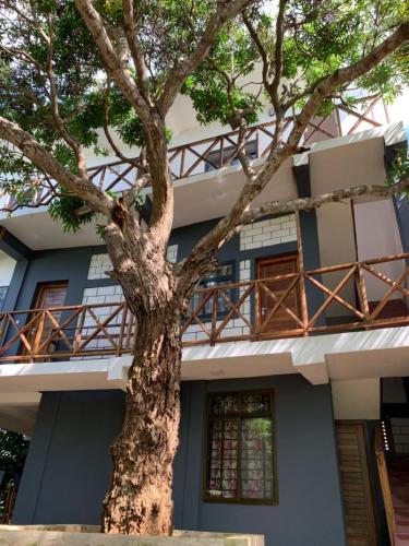 Gallery image of Panopano House in Nungwi