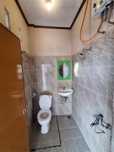 a bathroom with a toilet and a sink at RON'S Guest House Berastagi in Berastagi