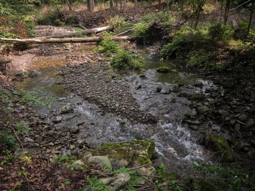 a stream of water with rocks in a forest at Luxuriously Restored Farm Cabin in Mountainhome