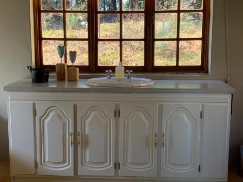 a bathroom sink in front of a window at Rivermead in Himeville