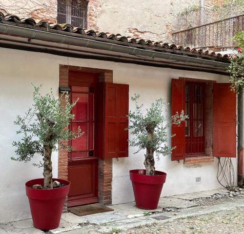 Petite chartreuse calme en plein coeur de Toulouse