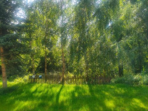 płot na polu z zieloną trawą i drzewami w obiekcie Marchewkowe Pole w mieście Sośnina