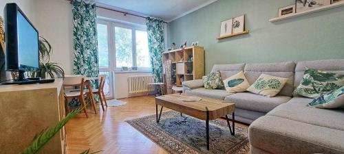 Spacious 1 bed flat in Havířov