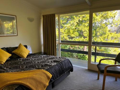 sypialnia z łóżkiem i dużym oknem w obiekcie Caves Motor Inn w mieście Te Kuiti
