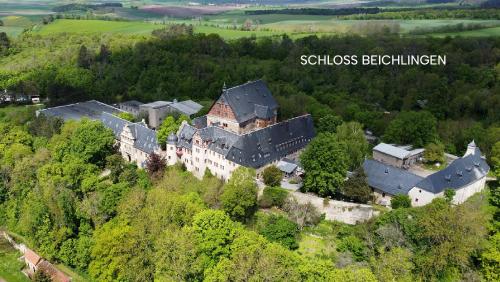 ein altes Schloss auf einem Hügel mit Bäumen in der Unterkunft Schloss Beichlingen in Beichlingen