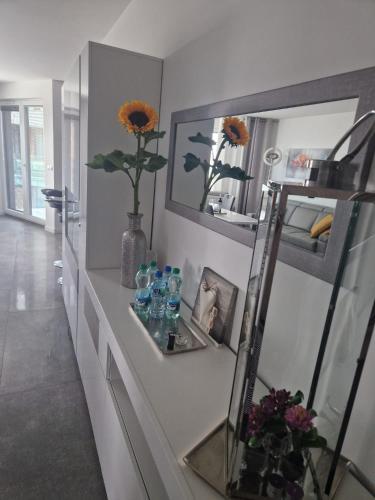 プツクにあるApartament DELFINのギャラリーの写真