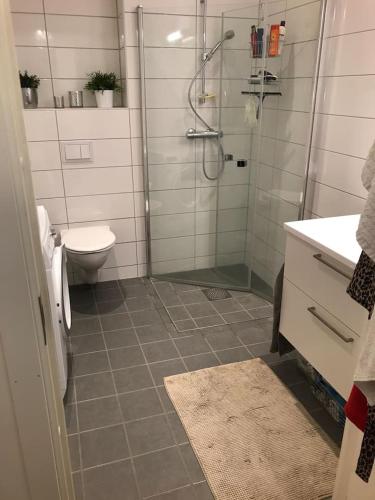 a bathroom with a shower and a toilet and a sink at 1-bed for 2 pers Central in Lillestrøm in Lillestrøm