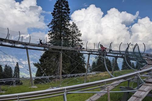 a group of people riding on a roller coaster at Wonderful holiday home on the shore of Walensee in Unterterzen